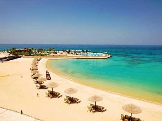 عرض التقييم الطبي الشامل